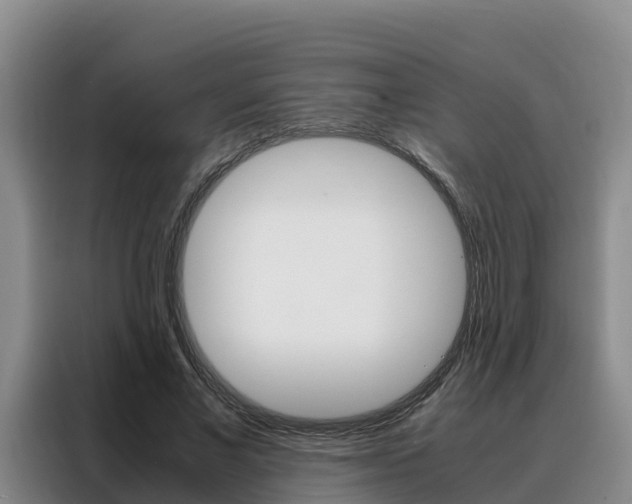 X0000088360685200705220733