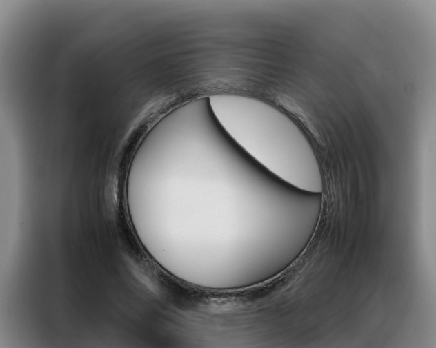 X0000088360686200705220733