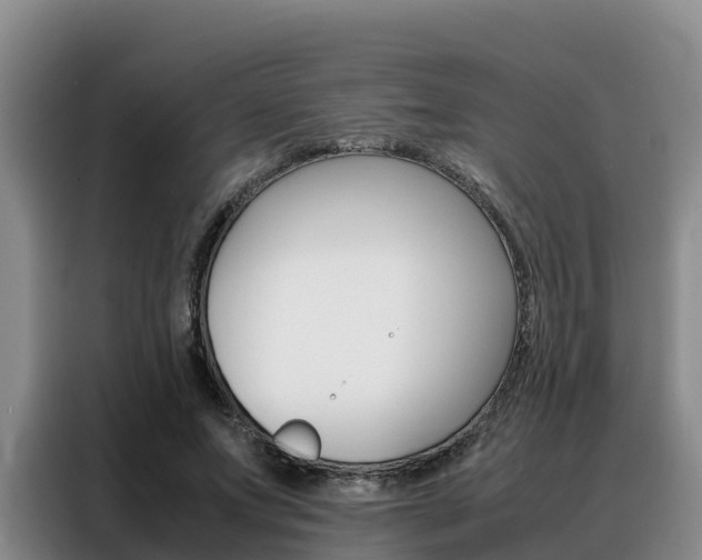 X0000088360687200705220733