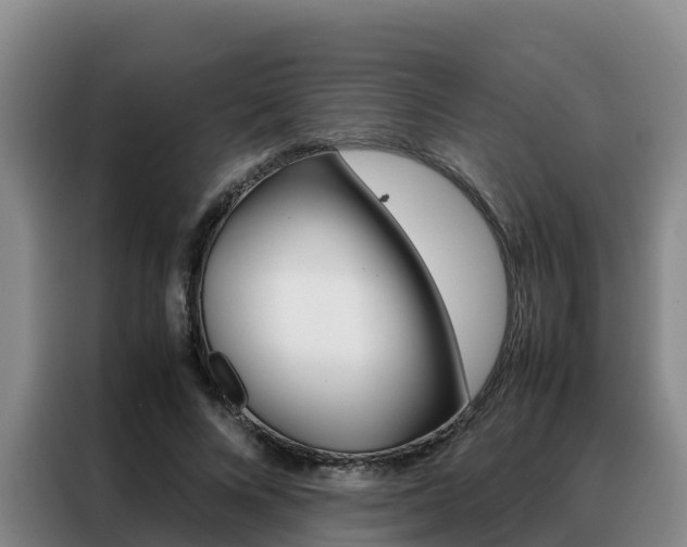 X0000088360688200705220733