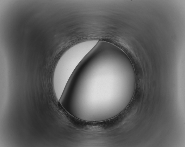 X0000088360689200705220733