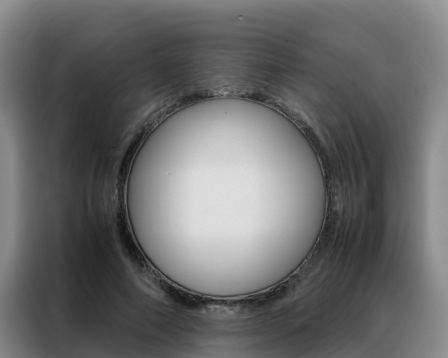 X0000088360690200705220733
