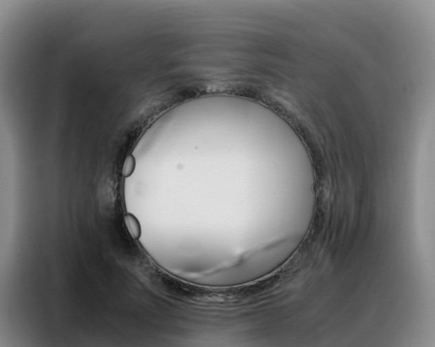 X0000088360691200705220733