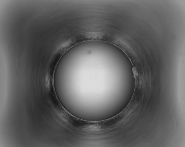 X0000088360692200705220733