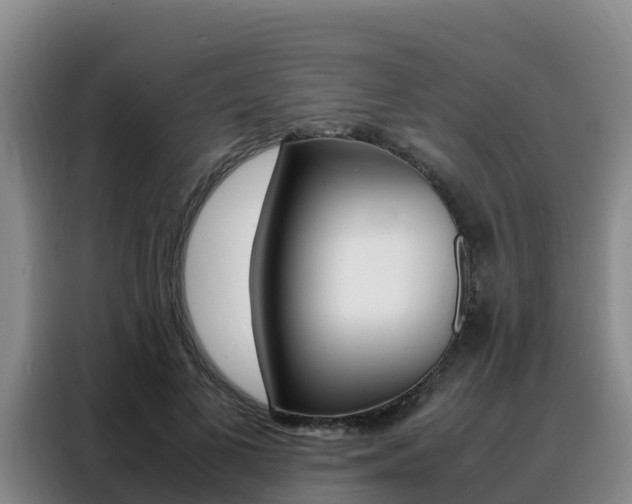 X0000088360693200705220733