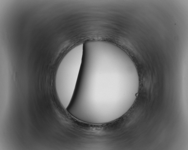 X0000088360694200705220733