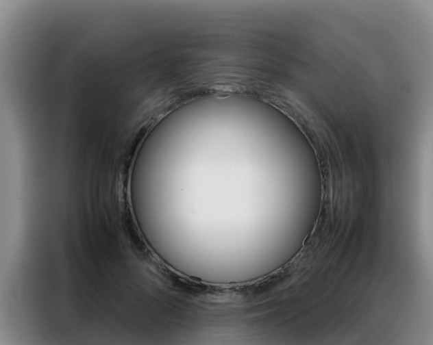X0000088360696200705220733