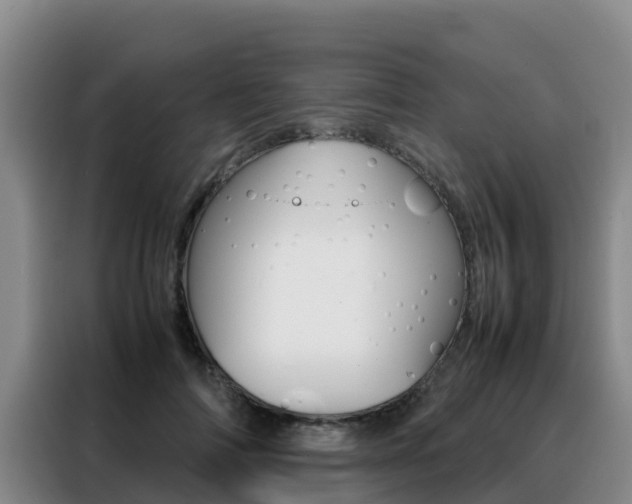 X0000088360698200705220733