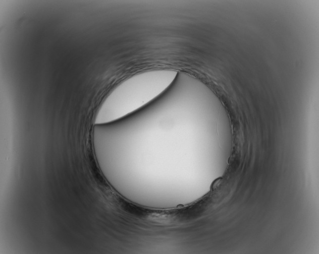X0000088360699200705220733