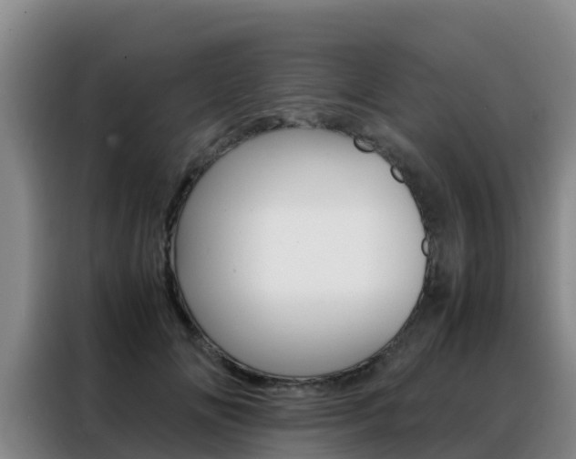 X0000088360702200705220733