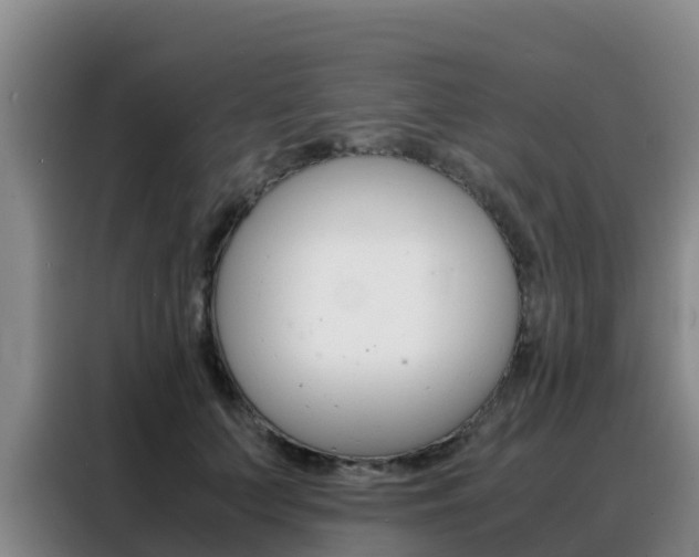 X0000088360703200705220733