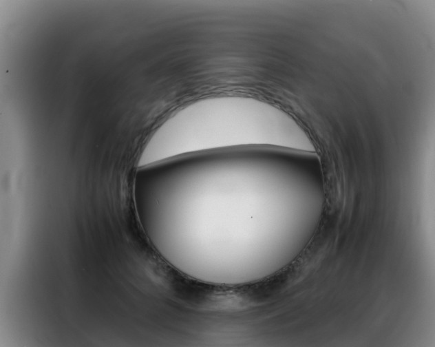 X0000088360704200705220733