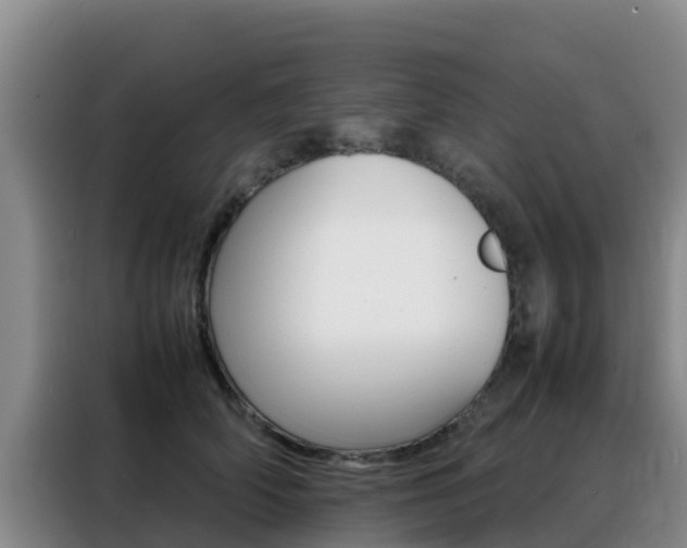 X0000088360706200705220733