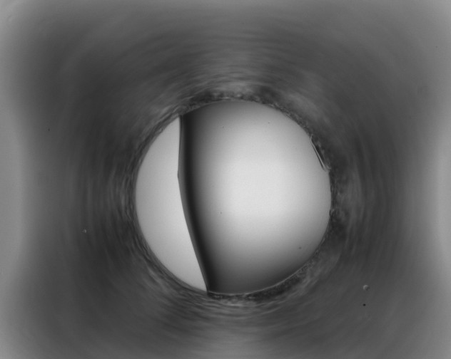 X0000088360708200705220733