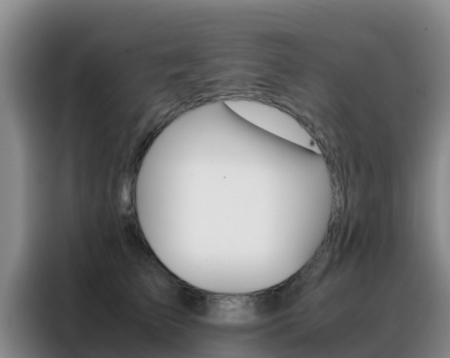 X0000088360709200705220733