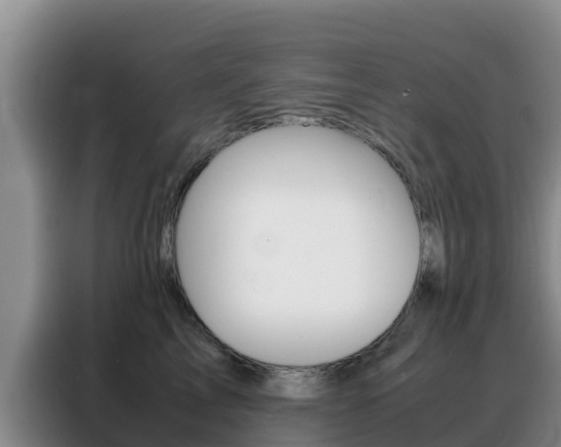 X0000088360713200705220733