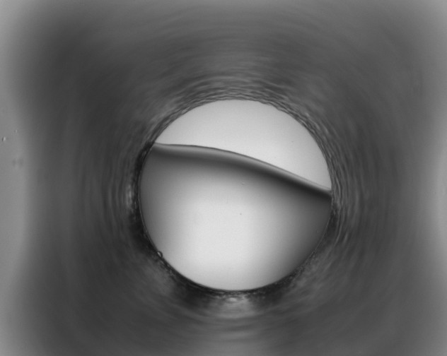 X0000088360715200705220733