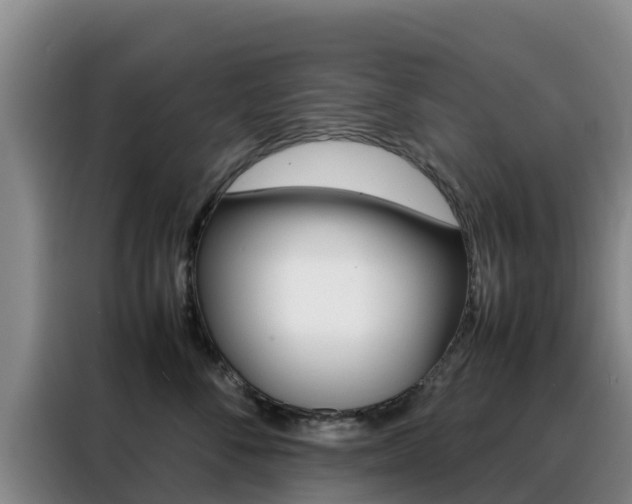 X0000088360716200705220733