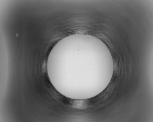 X0000088360717200705220733