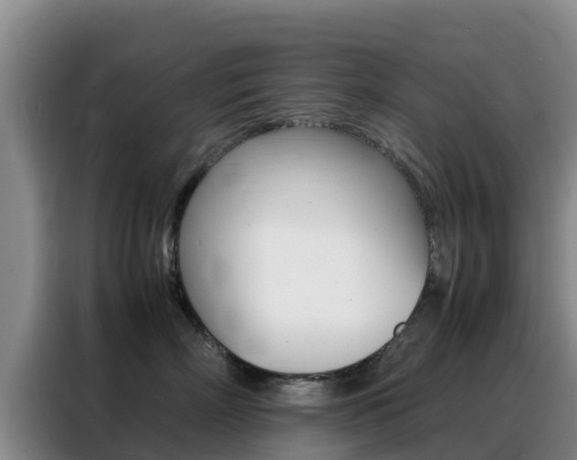 X0000088360718200705220733