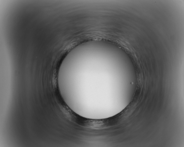 X0000088360719200705220733
