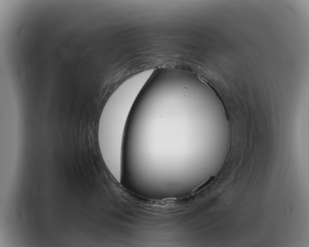 X0000088360720200705220733