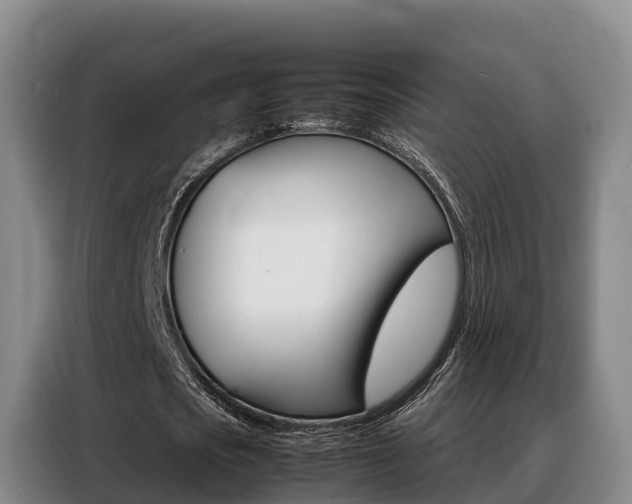X0000088360721200705220732
