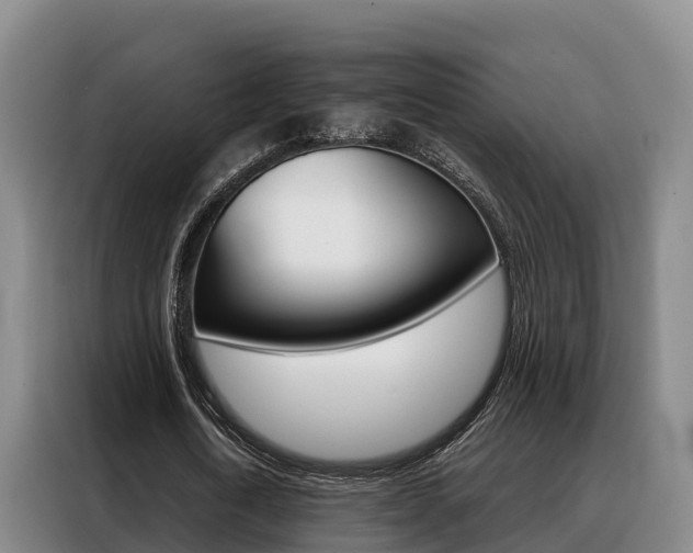 X0000088360722200705220732