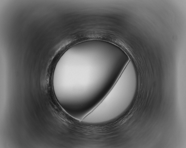 X0000088360723200705220732