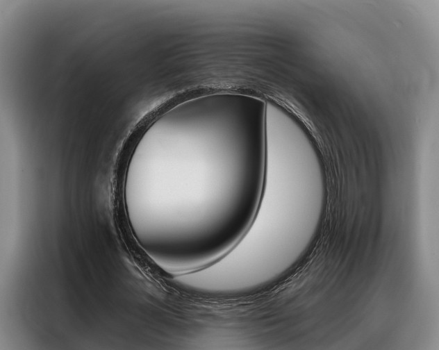 X0000088360724200705220732