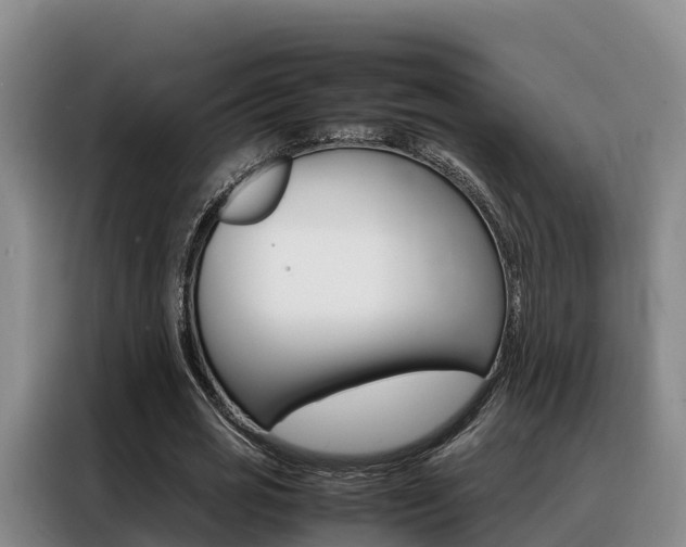 X0000088360725200705220732