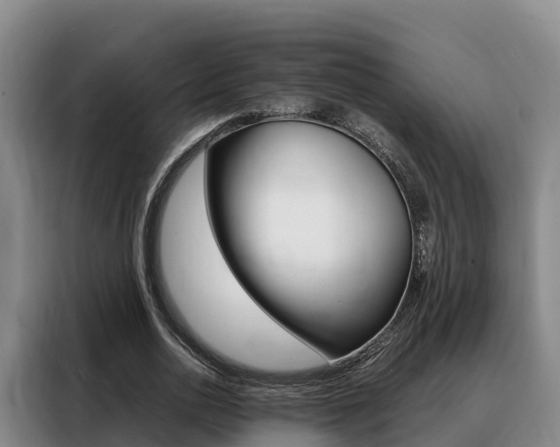 X0000088360726200705220732