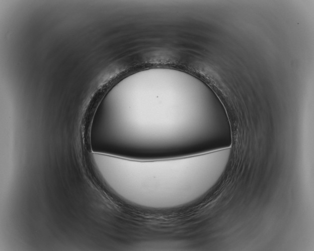 X0000088360727200705220732