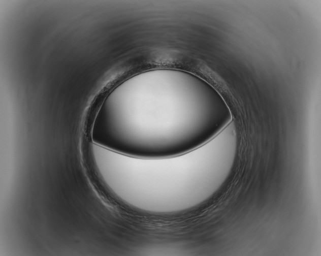 X0000088360728200705220732