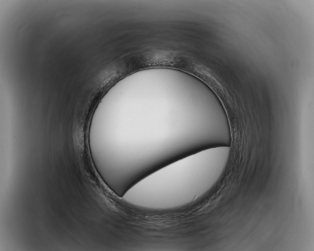 X0000088360729200705220732