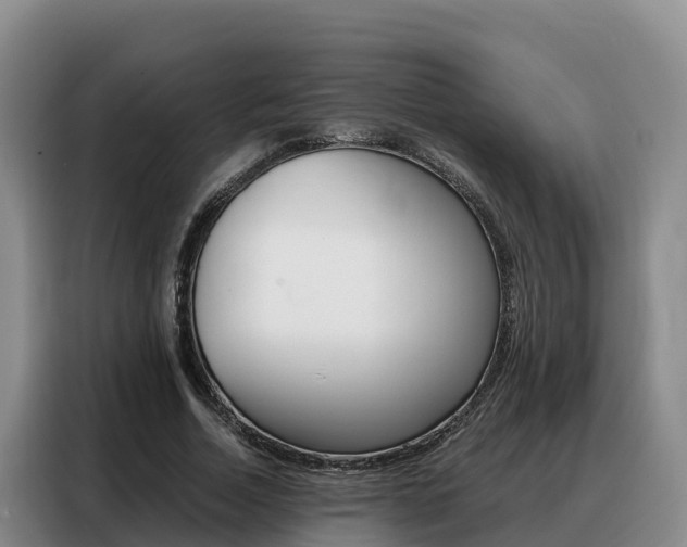X0000088360730200705220732