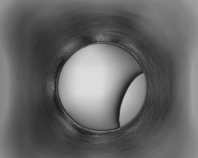 X0000088360733200705220732