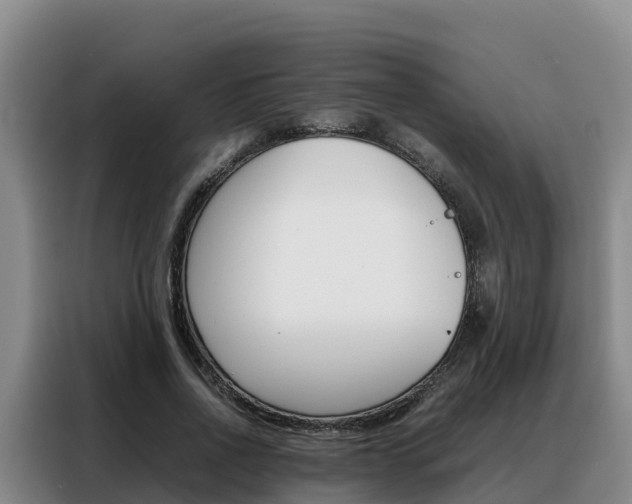 X0000088360734200705220732