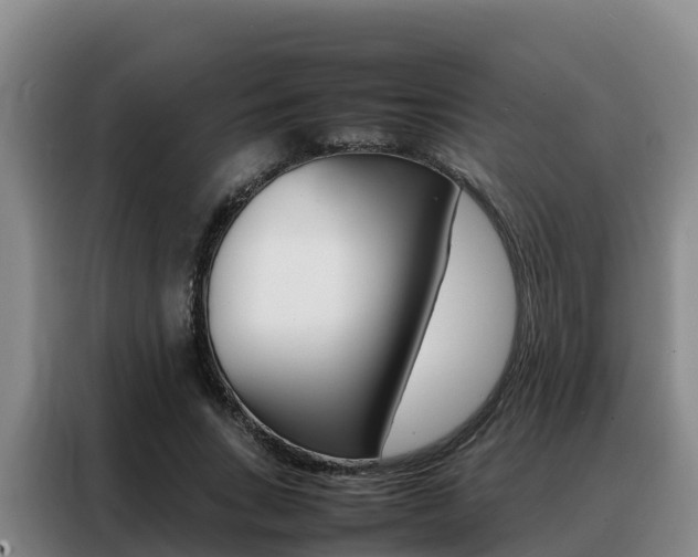 X0000088360735200705220732