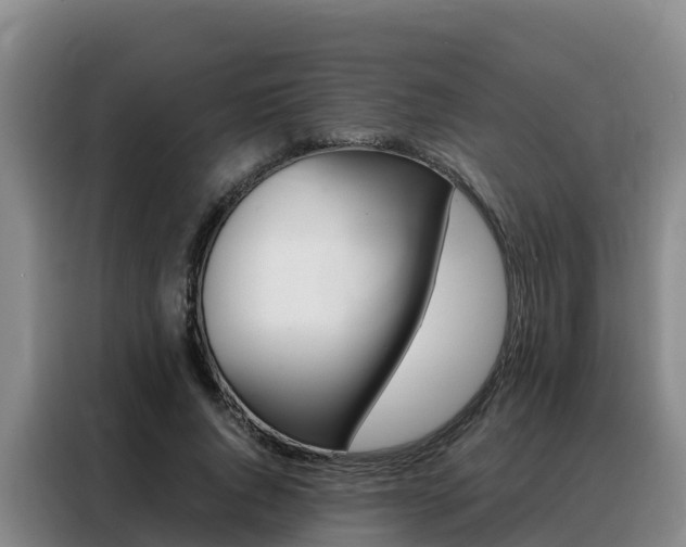 X0000088360736200705220732