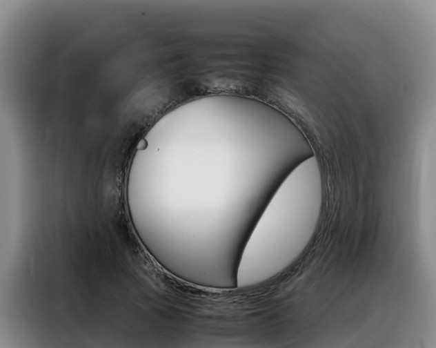 X0000088360737200705220732