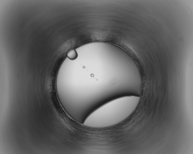 X0000088360738200705220732