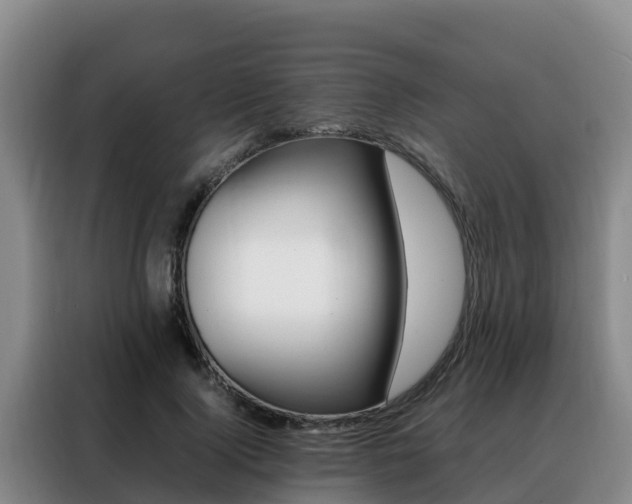X0000088360740200705220732