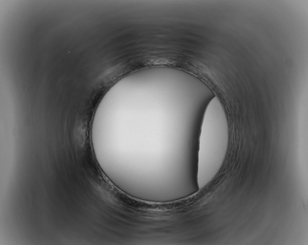 X0000088360741200705220732