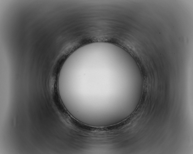 X0000088360742200705220732