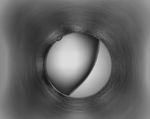 X0000088360744200705220732