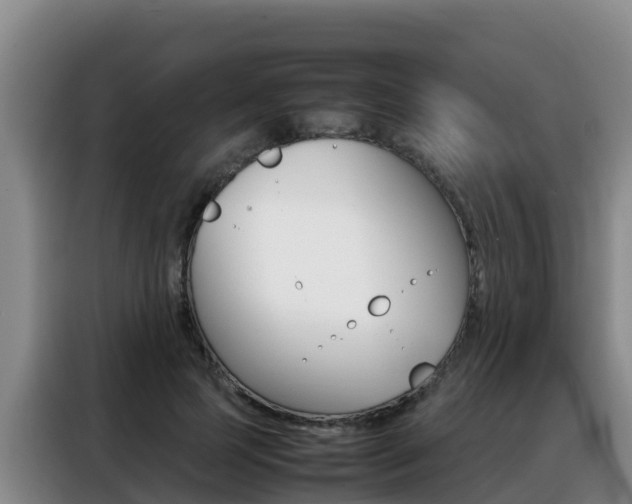 X0000088360745200705220732