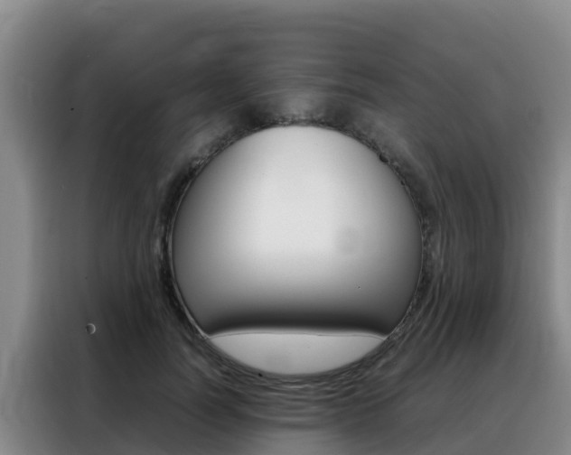 X0000088360746200705220732