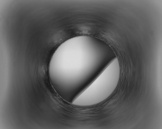 X0000088360747200705220732