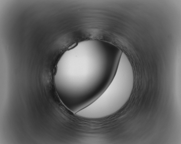 X0000088360748200705220732